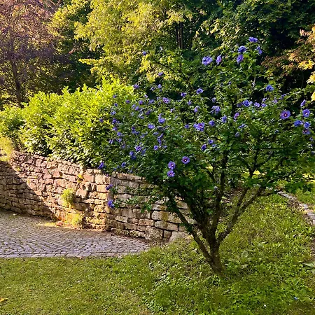 Bayernring Apartmán Breitenbrunn (Bavaria)